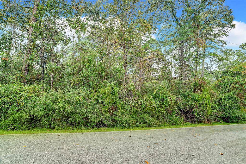 14 Lake Forest Court - Photo 1