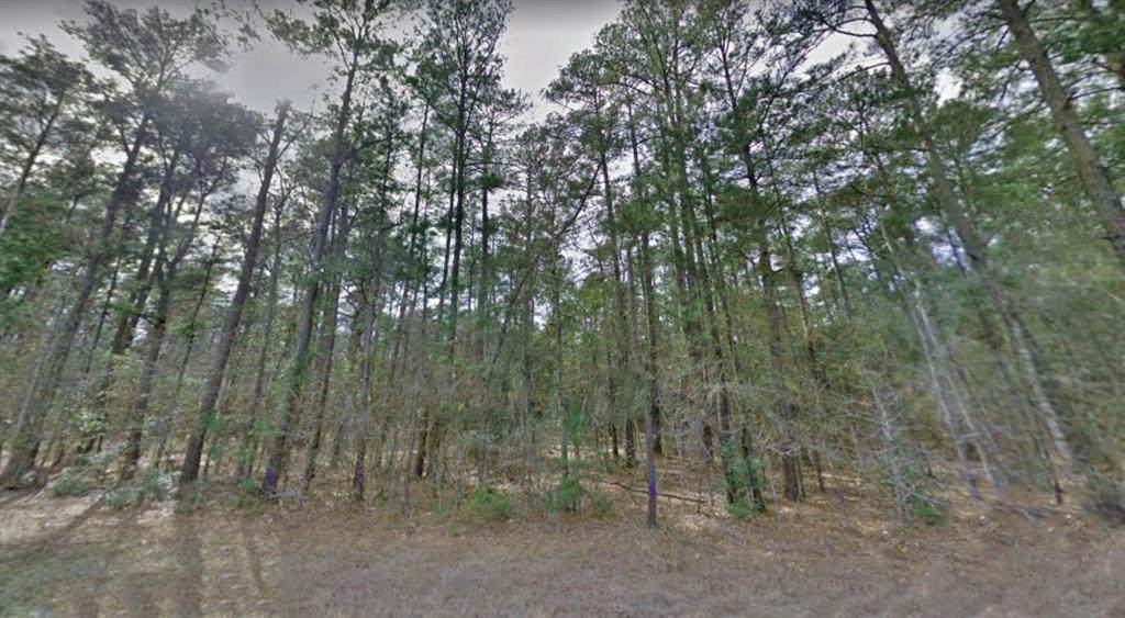0 (lot 13) Huntwood Subdivision - Photo 1