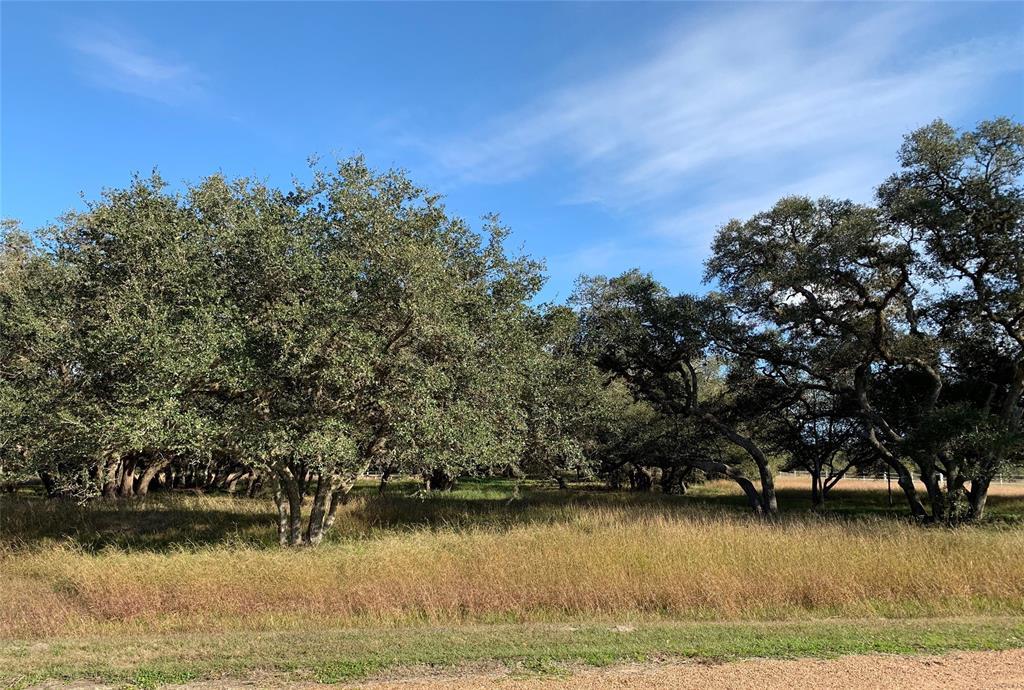 3035 Vaquero Drive - Photo 1
