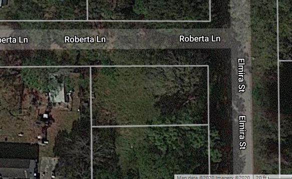 24831 Elmira Street - Photo 1