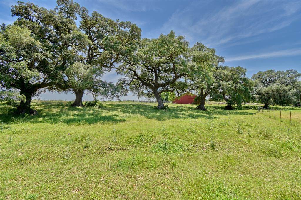 4707 Fm 390 Road - Photo 1