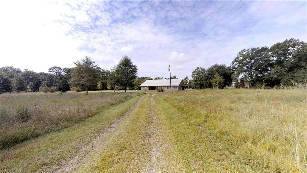 3037 County Road 032 - Photo 1