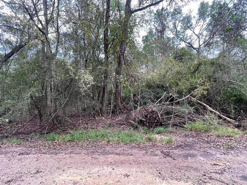 0 Elkfield Lane - Photo 1