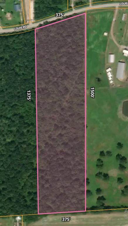 3232 Louis Road - Photo 1