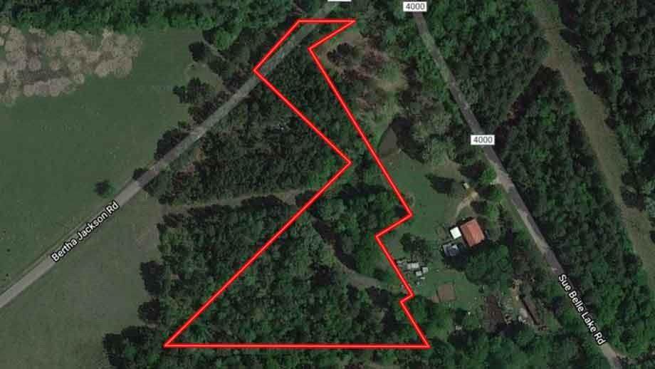 0 Bertha Jackson Road - Photo 1