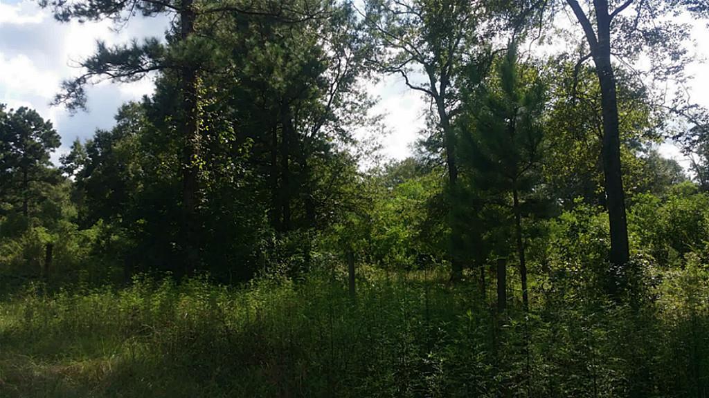 TBD Lot 2 Firetower - Photo 1