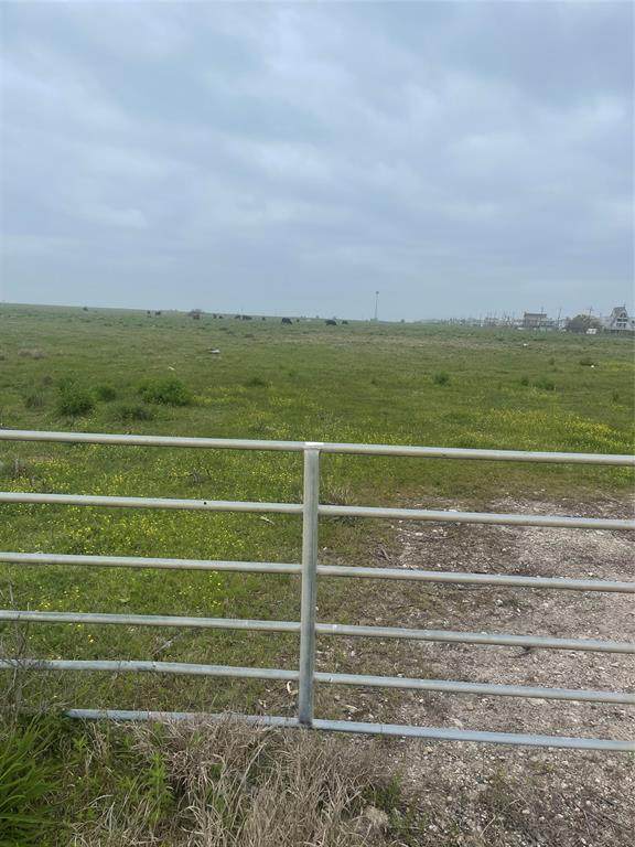 16855 San Luis Pass Road - Photo 1