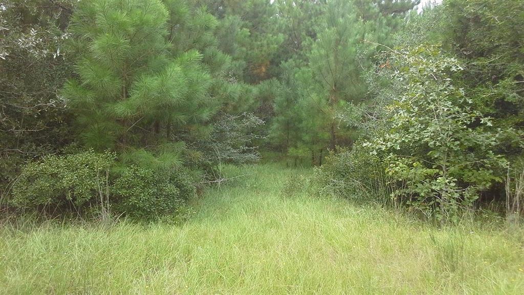 TBD Pr 6710 Ford - Photo 1