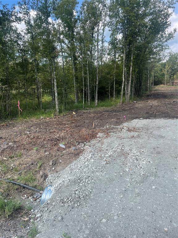 TBD Wood Farm Rd - Photo 1
