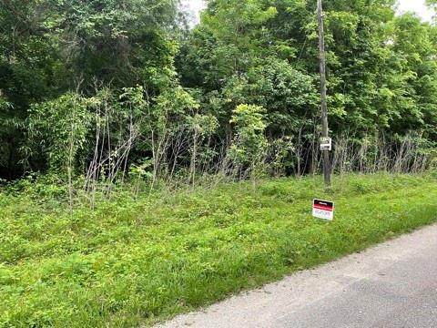 0 County Road 2166 - Photo 1
