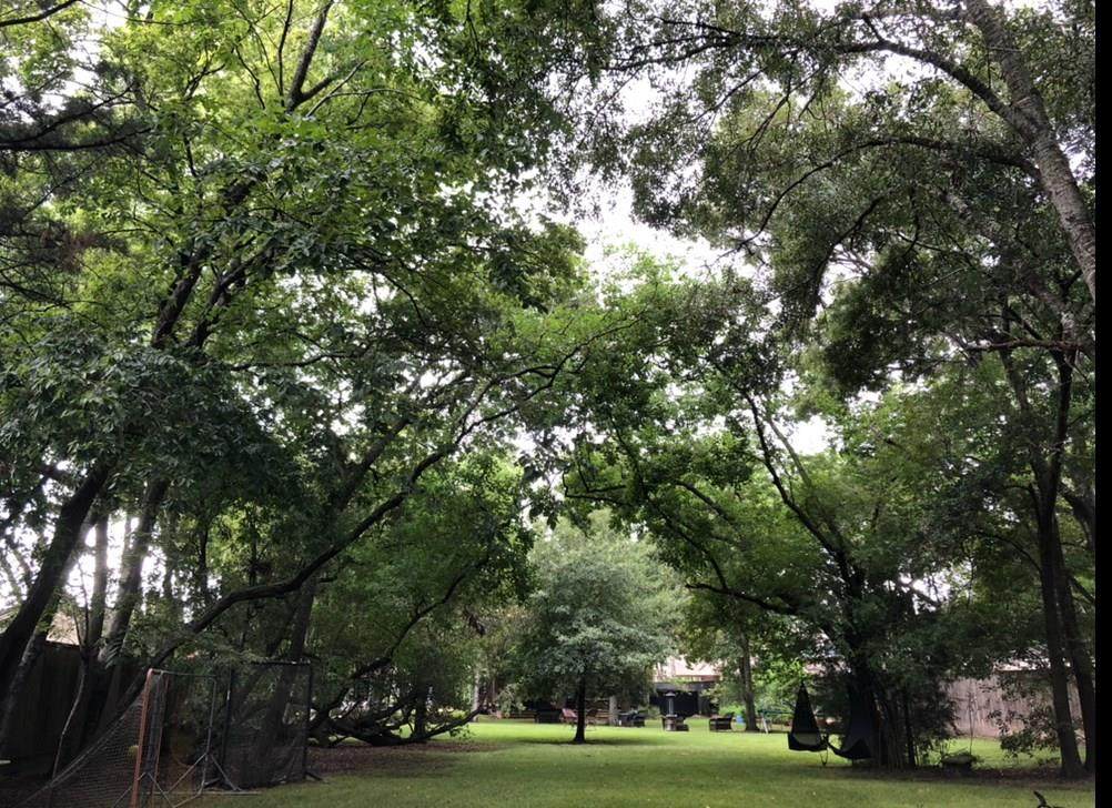 700 Mulberry Lane - Photo 1