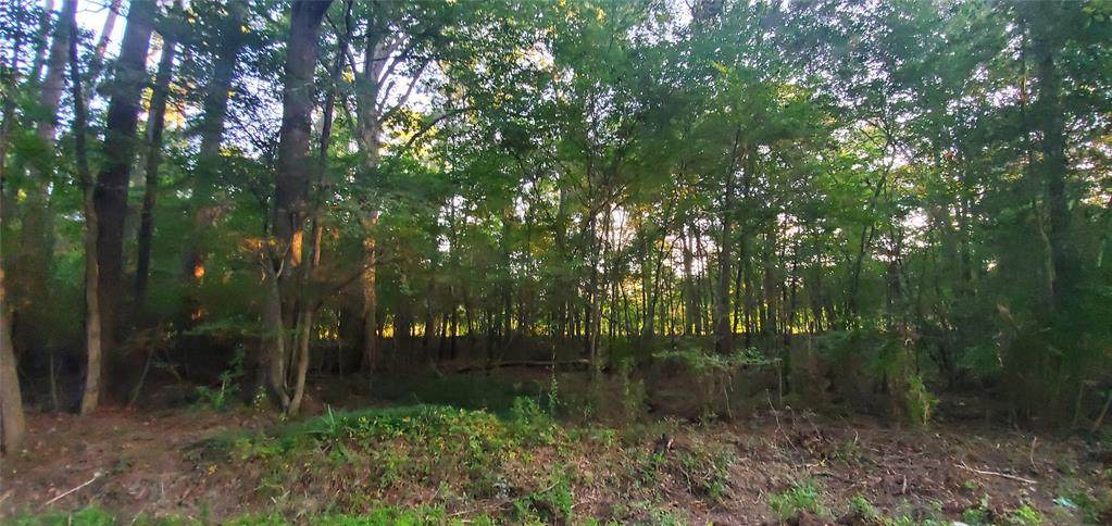 TBD County Road 3490 - Photo 1