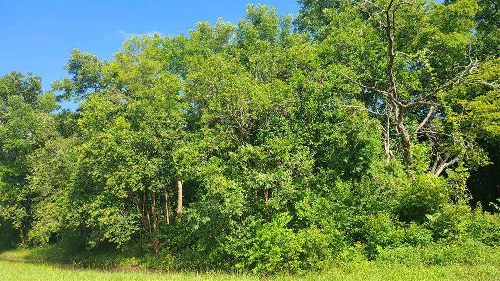0 County Road 477 - Photo 1