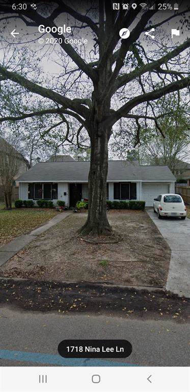 1719 Nina Lee Lane - Photo 1