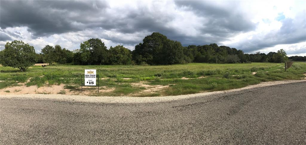 4300 Eli Road - Photo 1