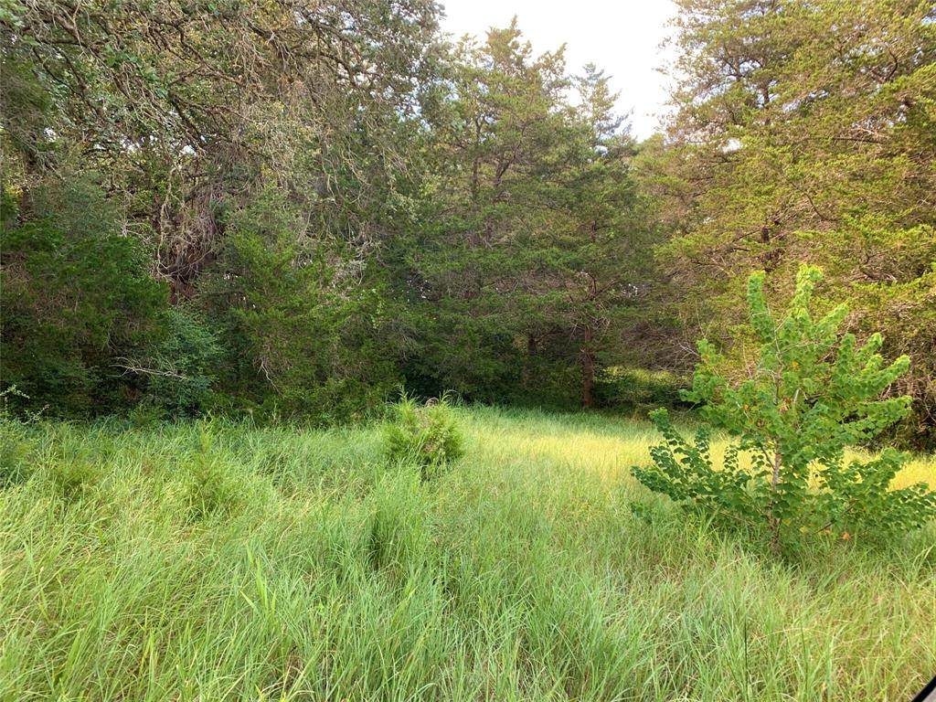 2230 Darilek Road - Photo 1
