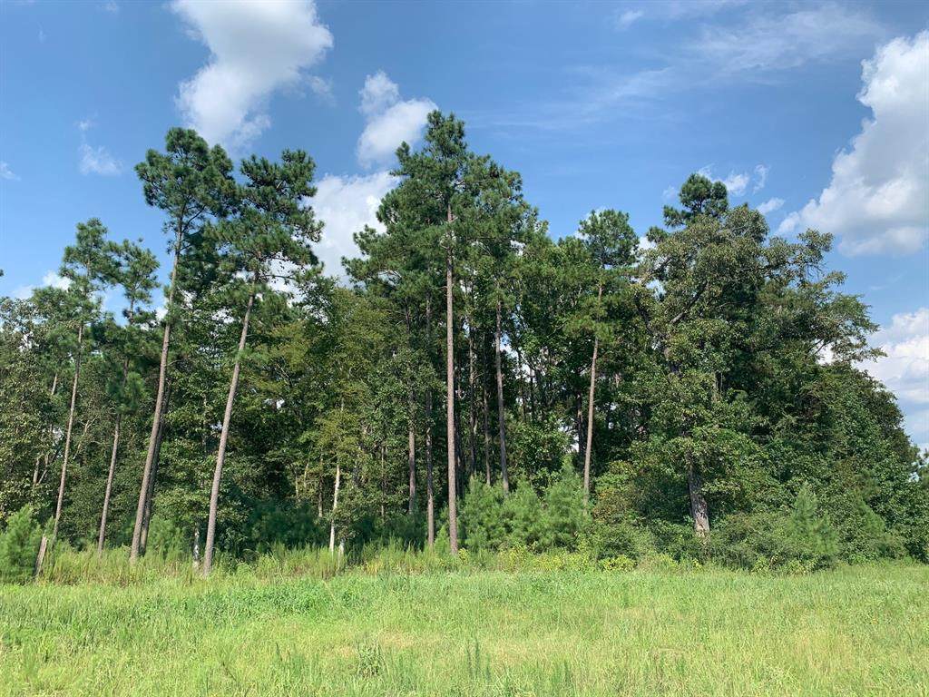 25512 Johnson Road - Photo 1