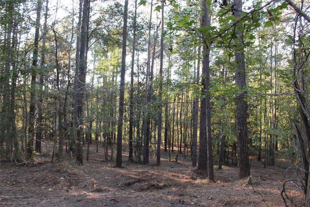 TBD7 Cross Creek Trail Trail - Photo 1