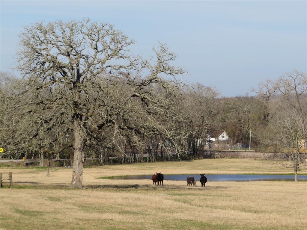 7.995 +-/ Acres Country Road - Photo 1