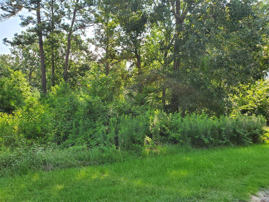 Lot 144 Cooke Jones Road - Photo 1