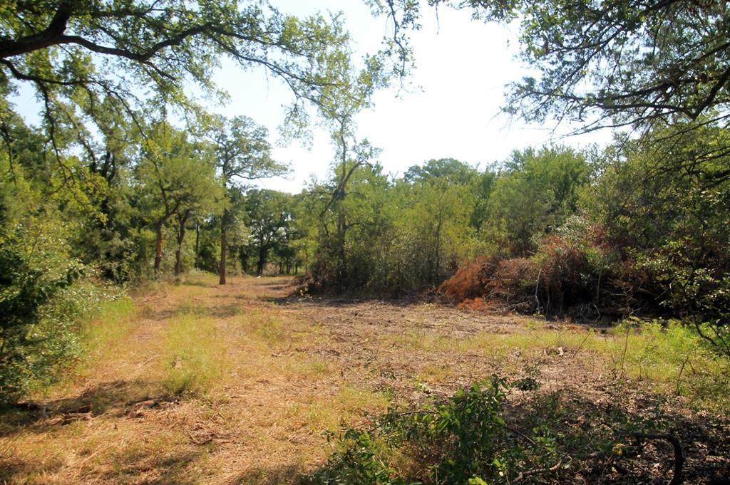 TBD Tract 1 St Hwy 36 - Photo 1