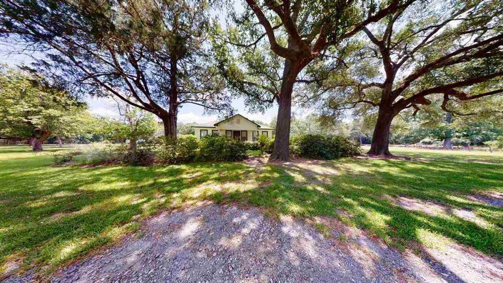 12485 State Highway 87 - Photo 1