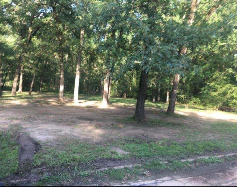 TBD Gumwood Ct - Photo 1