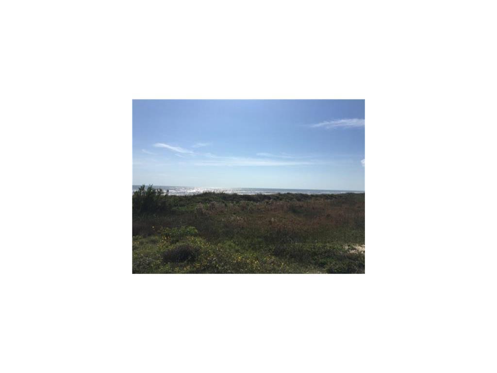 1418 Hwy 87 - Photo 1