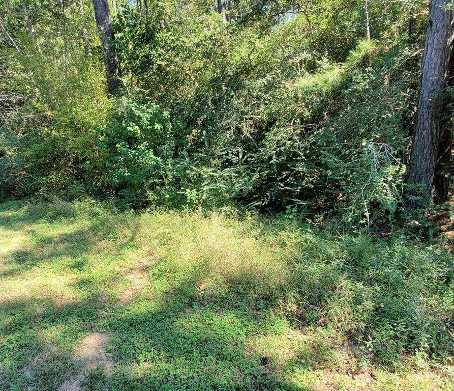 LOT 126,127 Meadow Wood Drive - Photo 1