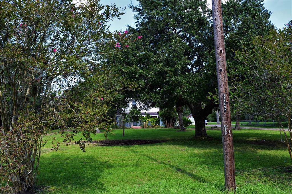 2607 Old Lane City Road - Photo 1