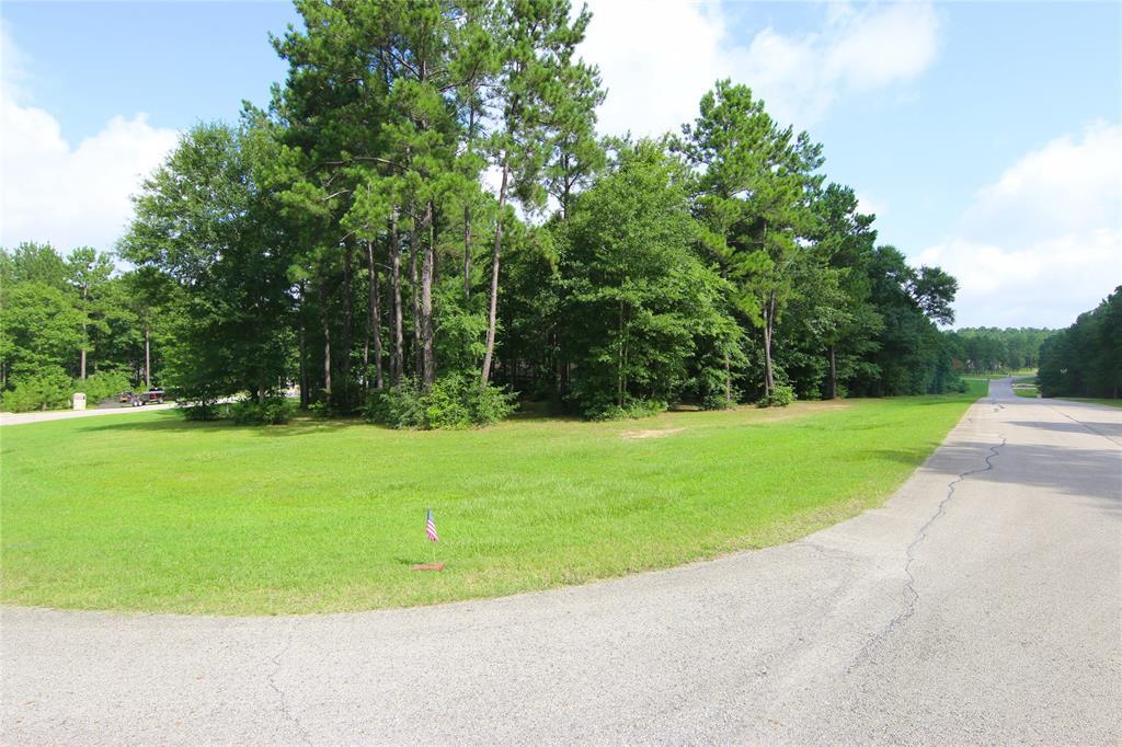 14783 Turquoise Trail - Photo 1