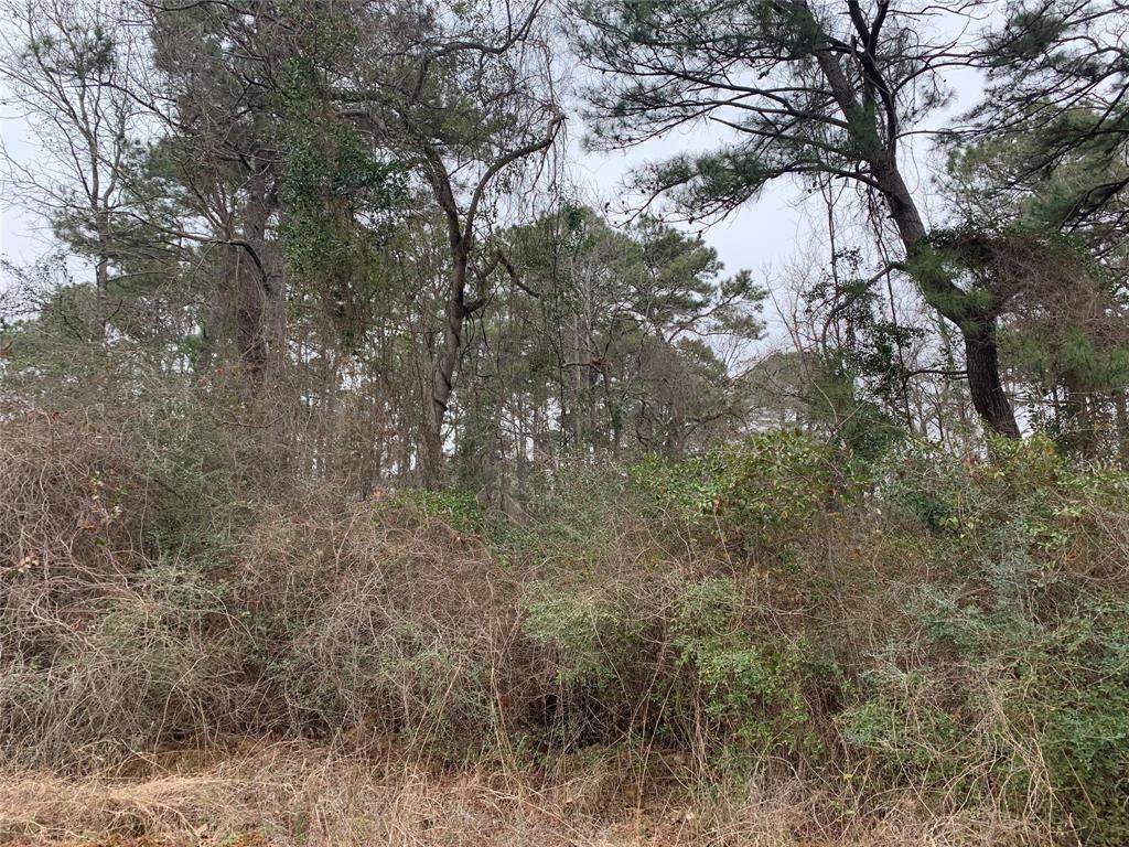 TBD Pr 2065 - Photo 1