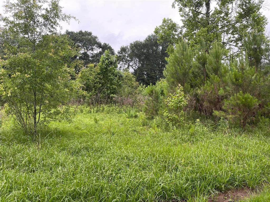 2353 County Road 4375 - Photo 1