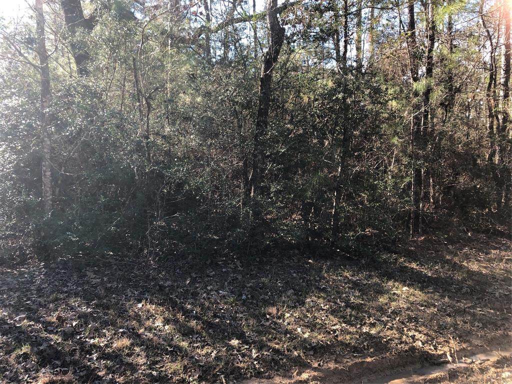 Lot 62 County Road 2142 A - Photo 1