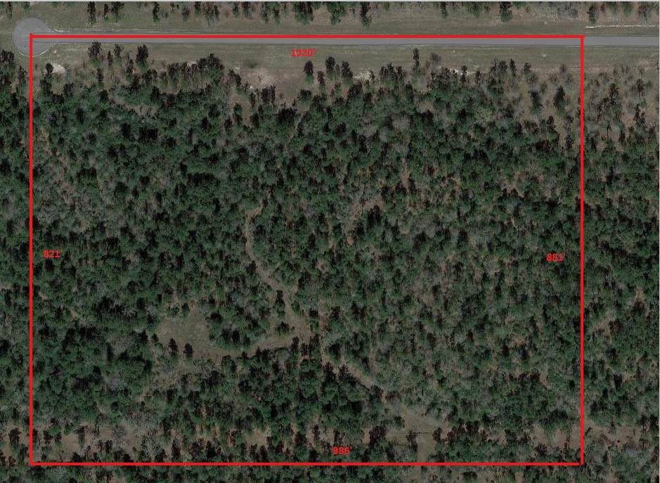 TBD Westview - 20 Acres - Photo 1