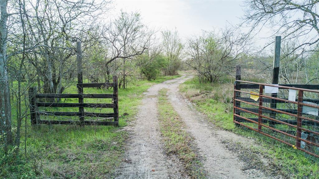 14950 County Road 229 - Photo 1