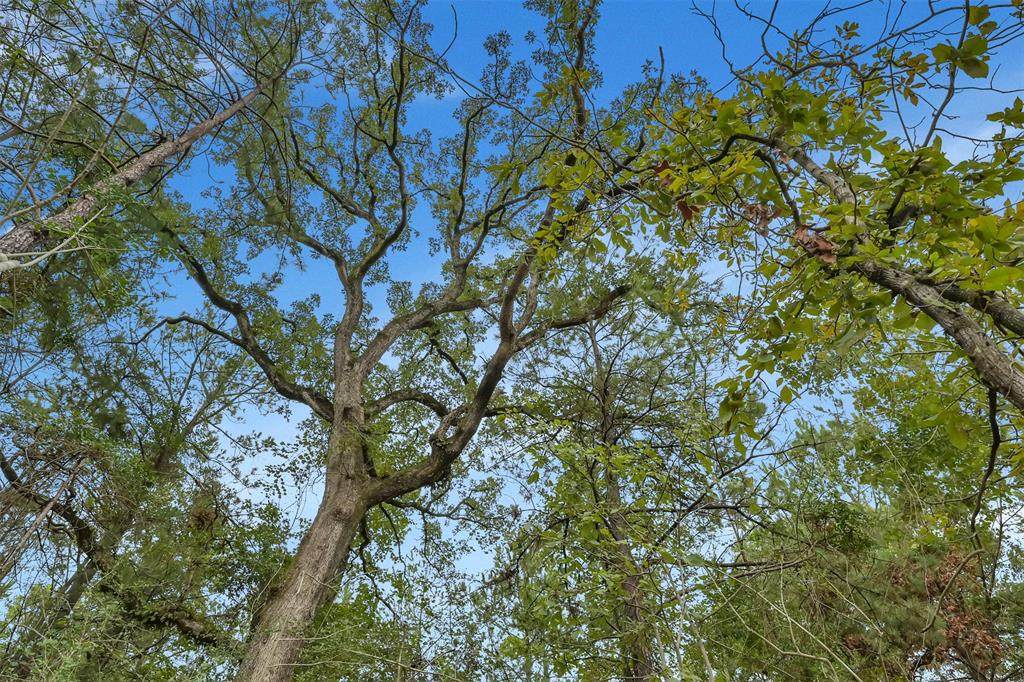 7484 High Meadow Ridge Drive - Photo 1