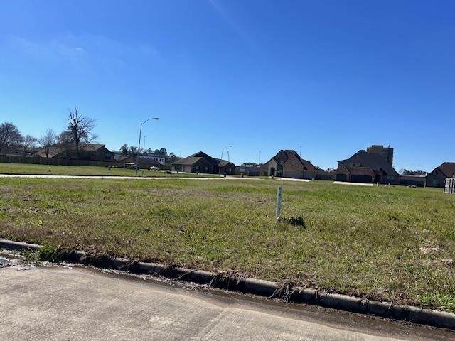 3250 Yasmine Dior Street - Photo 1