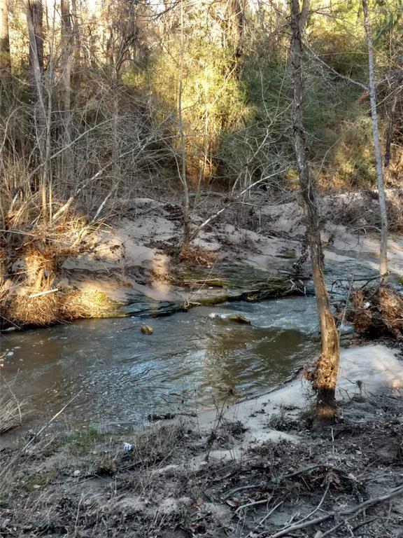 TBD County Road 201 - Photo 1