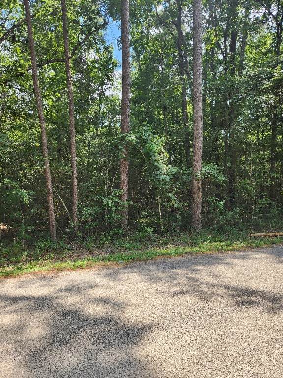 TBD County Road 373 - Photo 1
