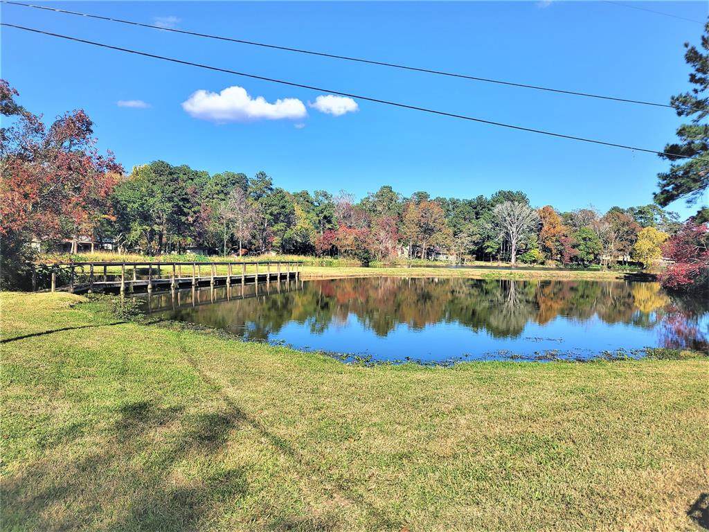 202 Spring Stream Bend - Photo 1