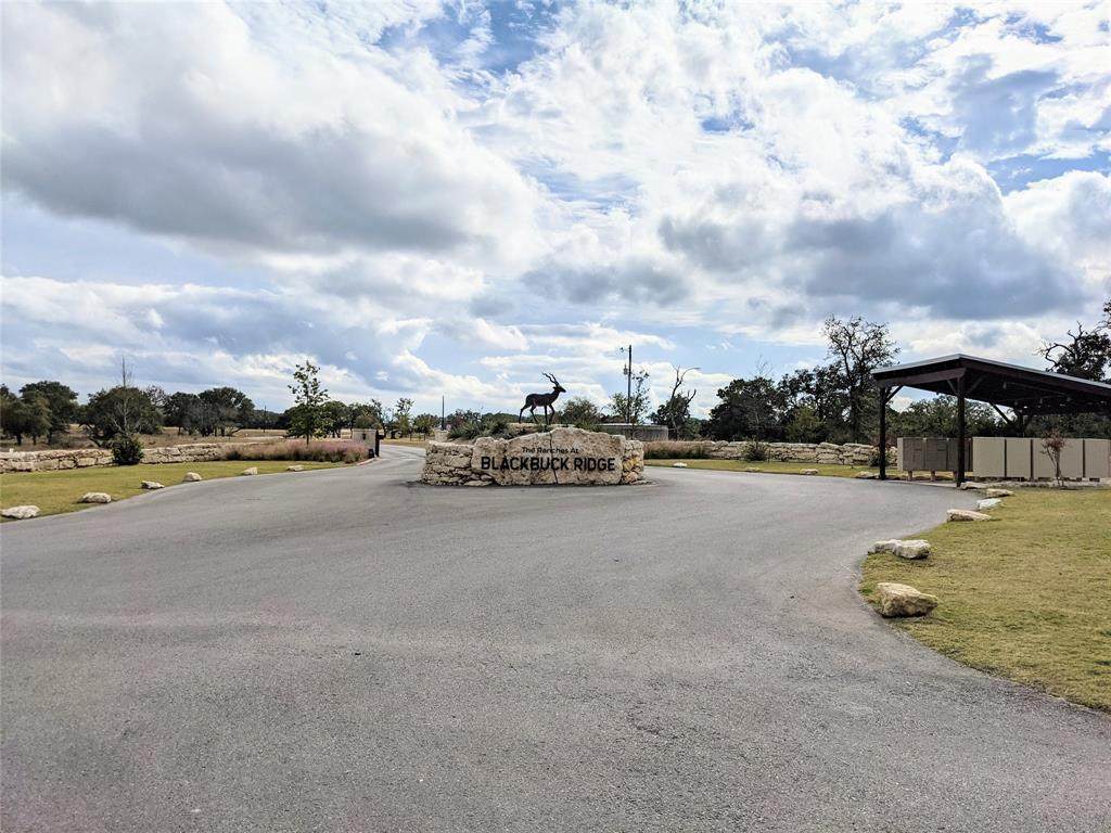 000 Impala Lane - Photo 1