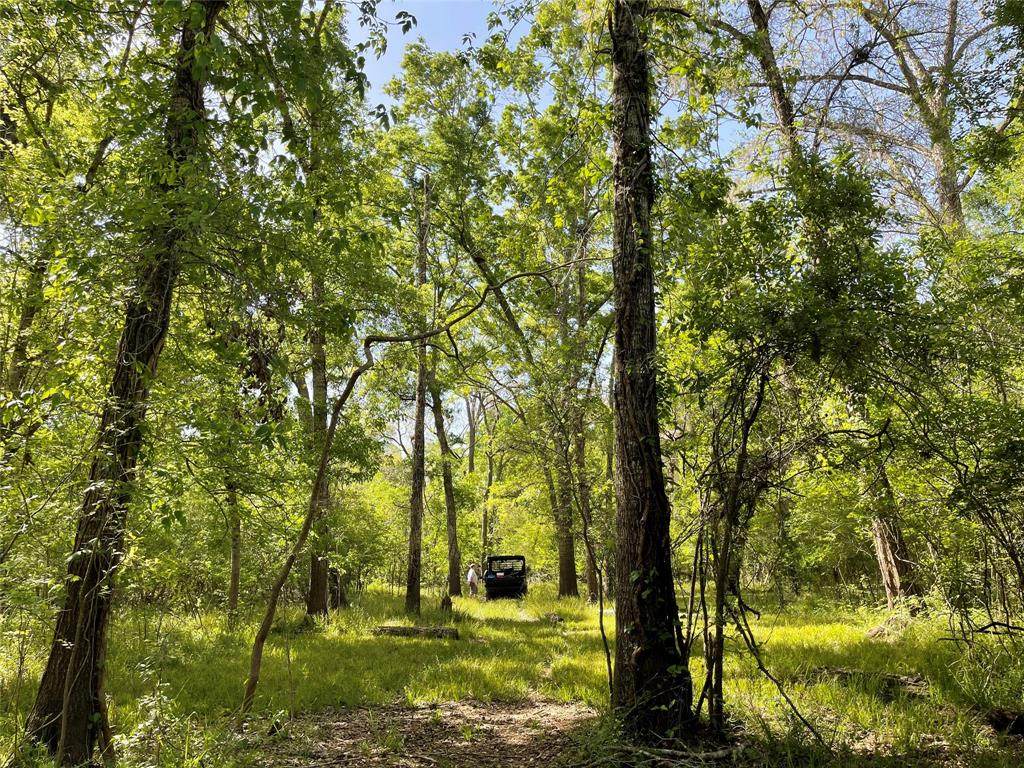 2505 County Road 36 - Photo 1