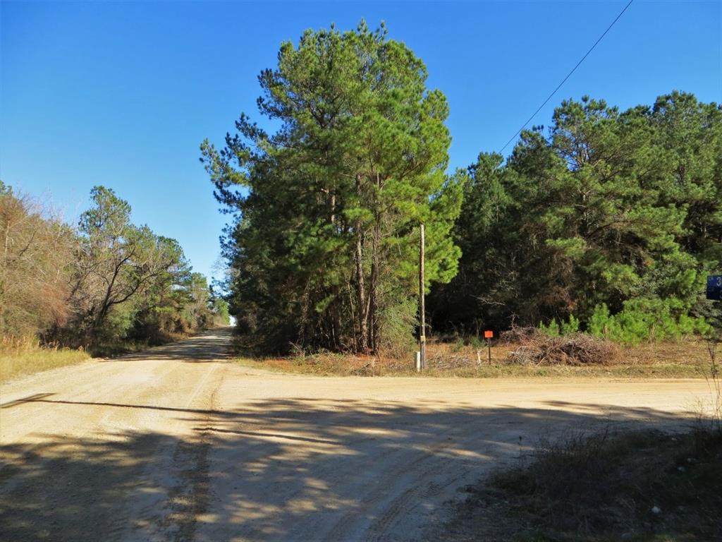 0 Cr 306 Corner - Photo 1