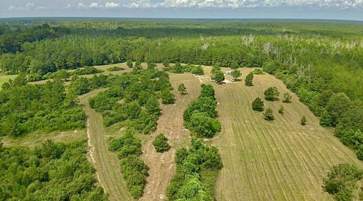 81363 George Sanner Rd Road - Photo 1