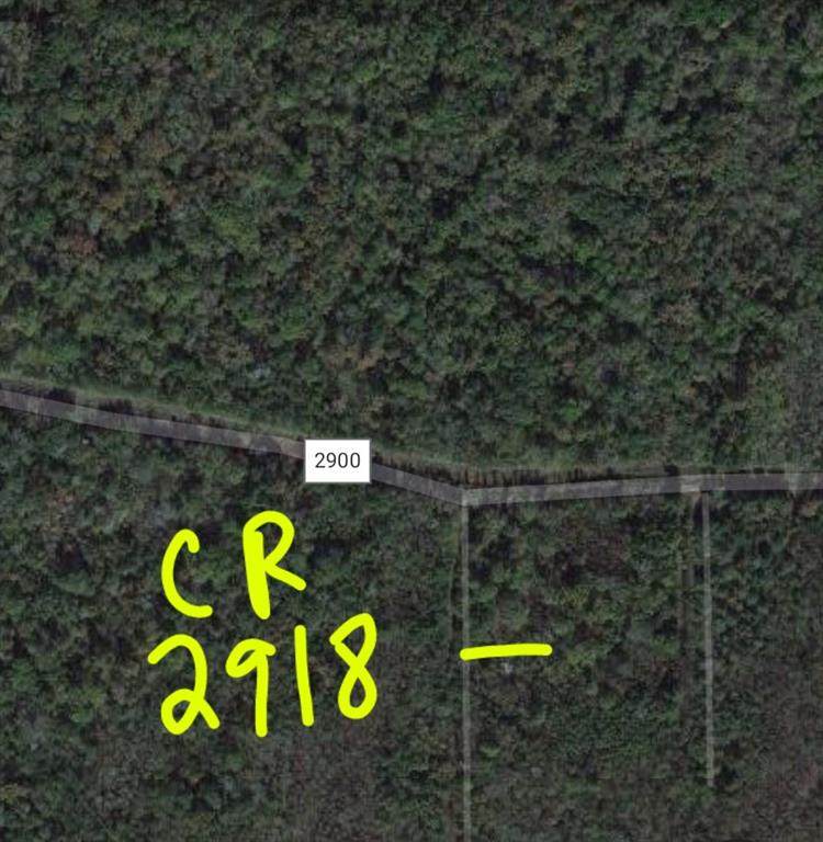 TBD Lot 42-43 County Road 2918 - Photo 1