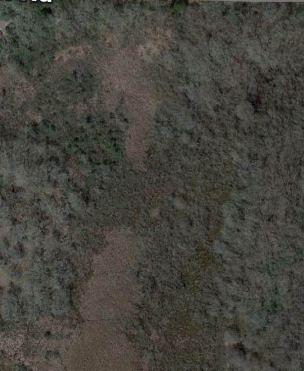 TBD Ranch Road Drive - Photo 1