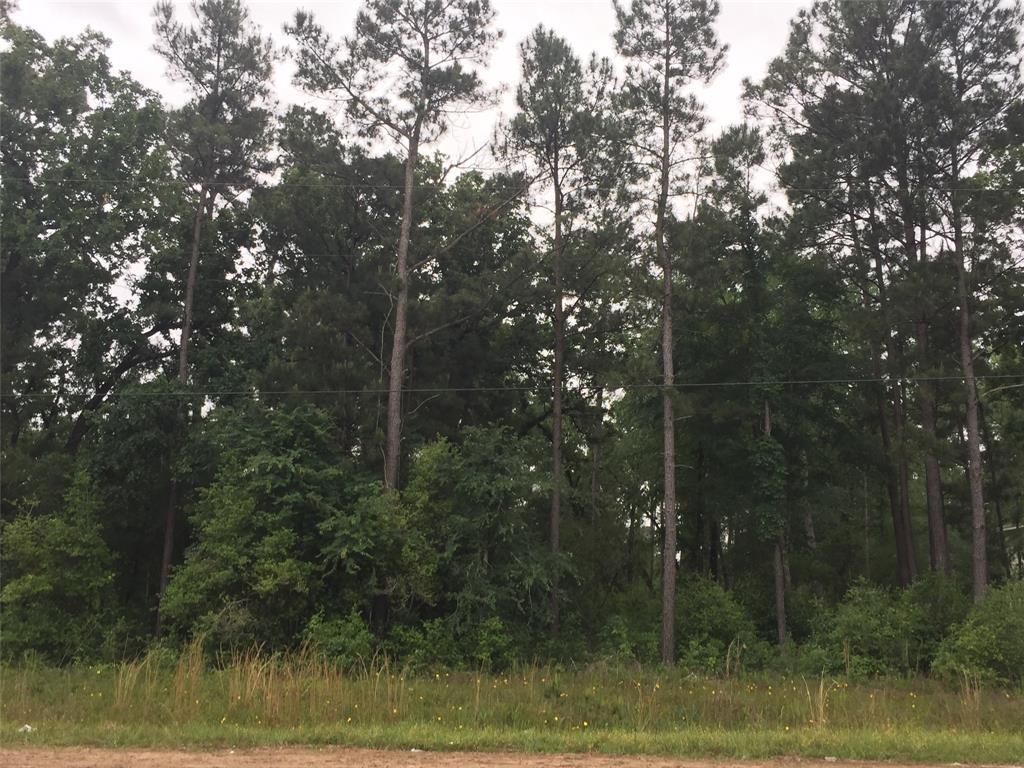 23326 Green Forest Street - Photo 1