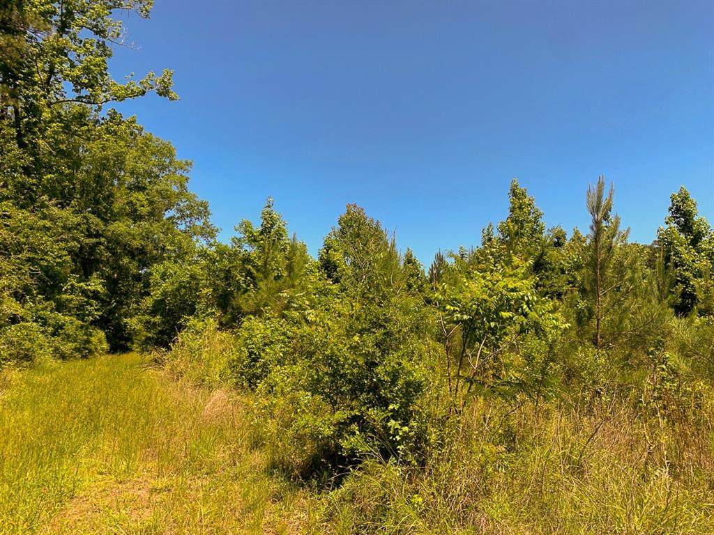 0 Fm 1415 - Photo 1