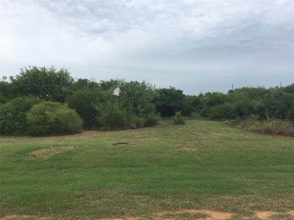 0 Speckled Trout Loop - Photo 1
